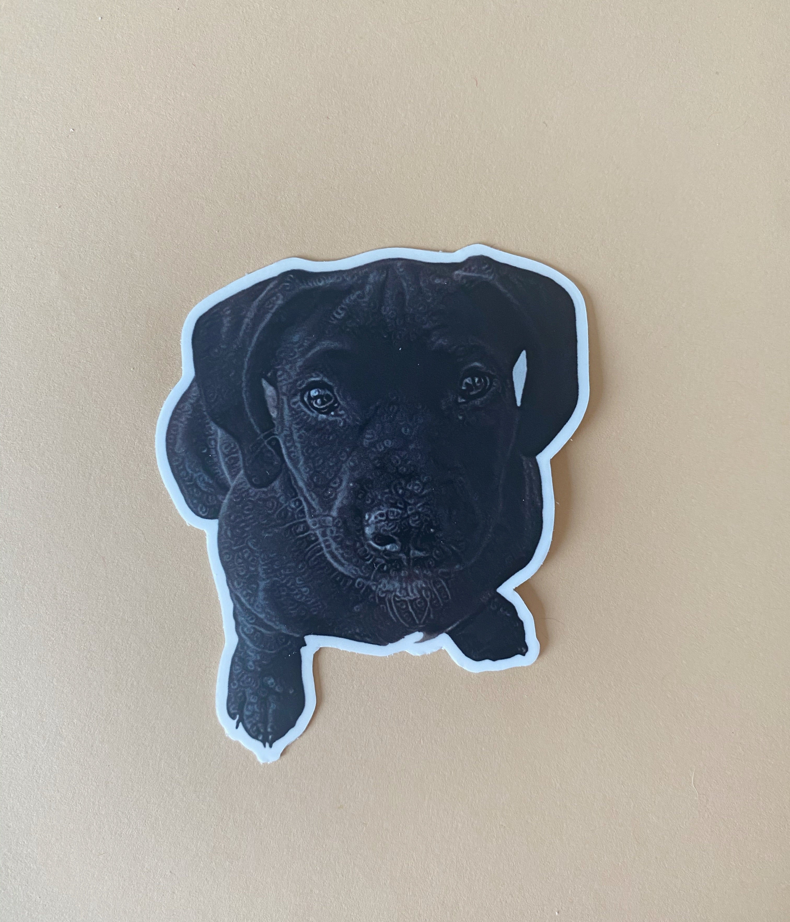 Black Lab Puppy Sticker