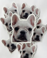 Load image into Gallery viewer, Frenchie Pup Sticker
