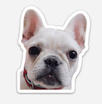 Load image into Gallery viewer, Frenchie Pup Sticker
